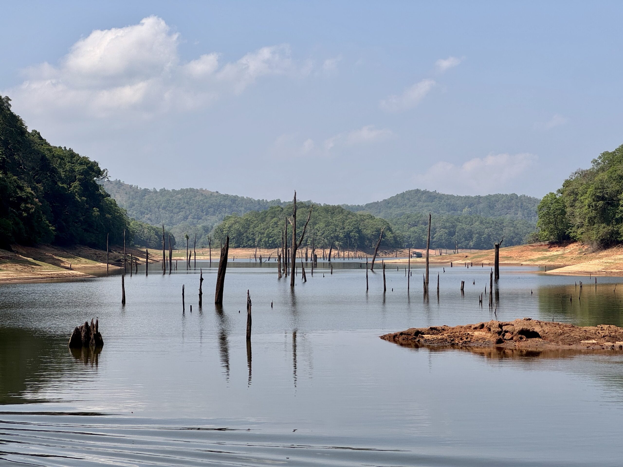 Calm river with numerous vertical tree stumps protruding from the water and red banks with forested hills in the distance under a clear blue sky.