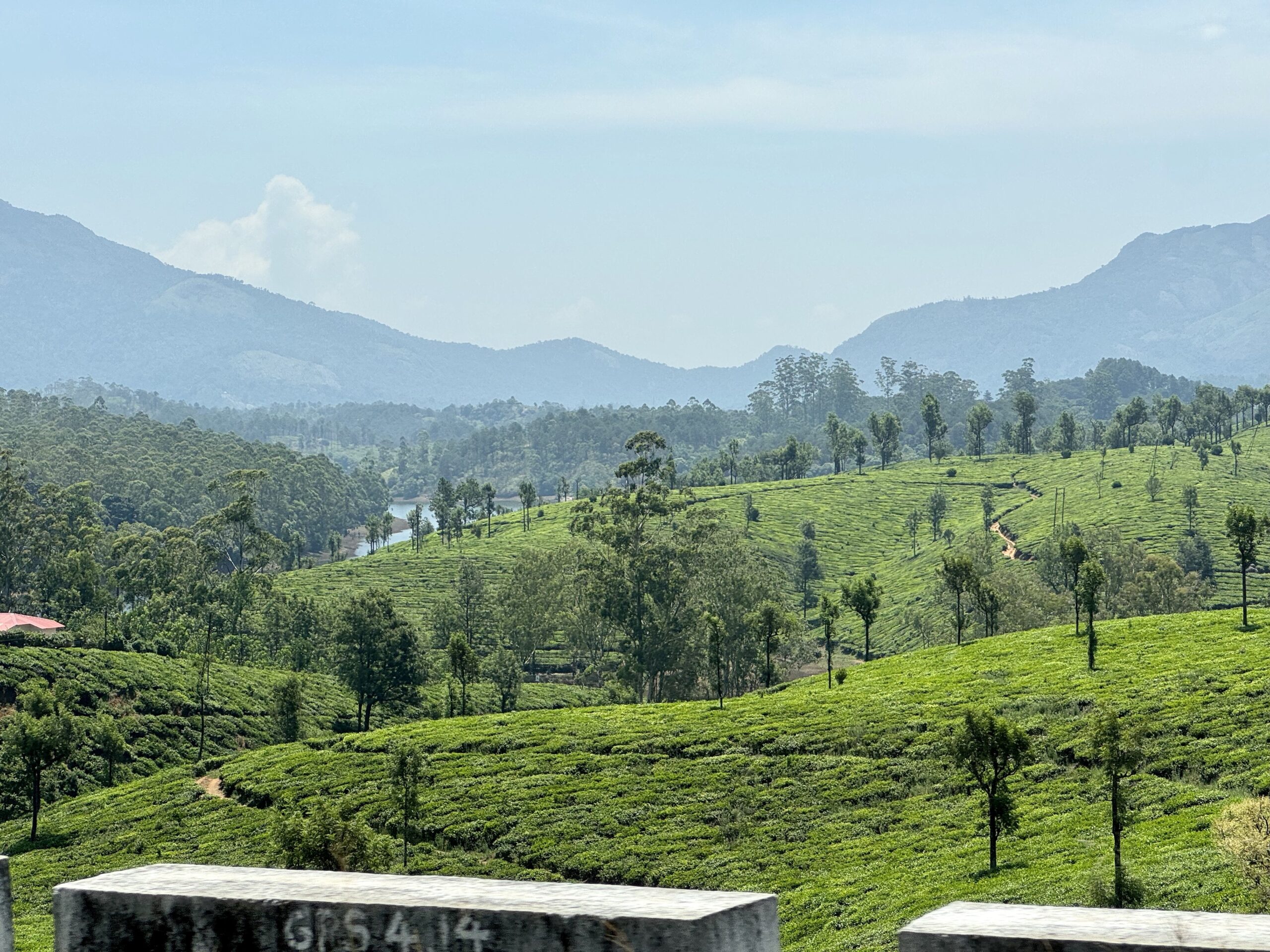 Tea plantations spread across rolling green hills with scattered trees and a distant mountain range under a blue sky; concrete blocks frame the foreground