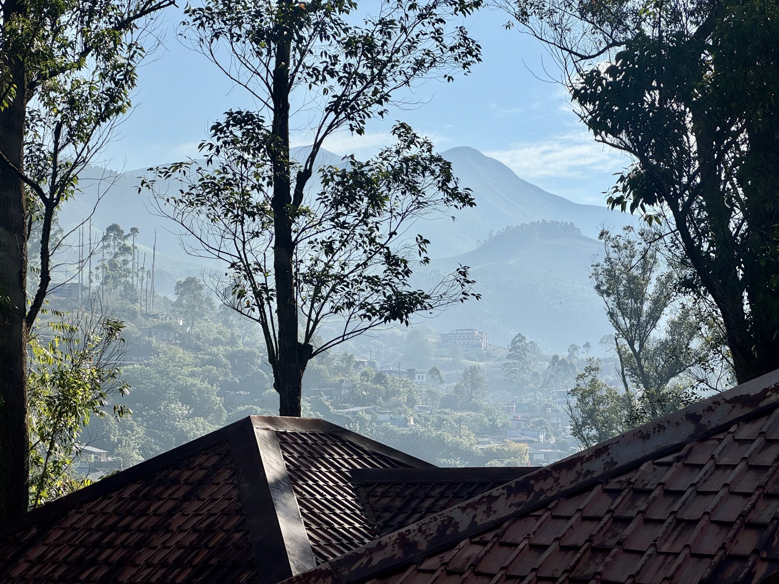 Tree-framed view of a valley with terracotta rooftops and distant blue mountains under a bright sky.