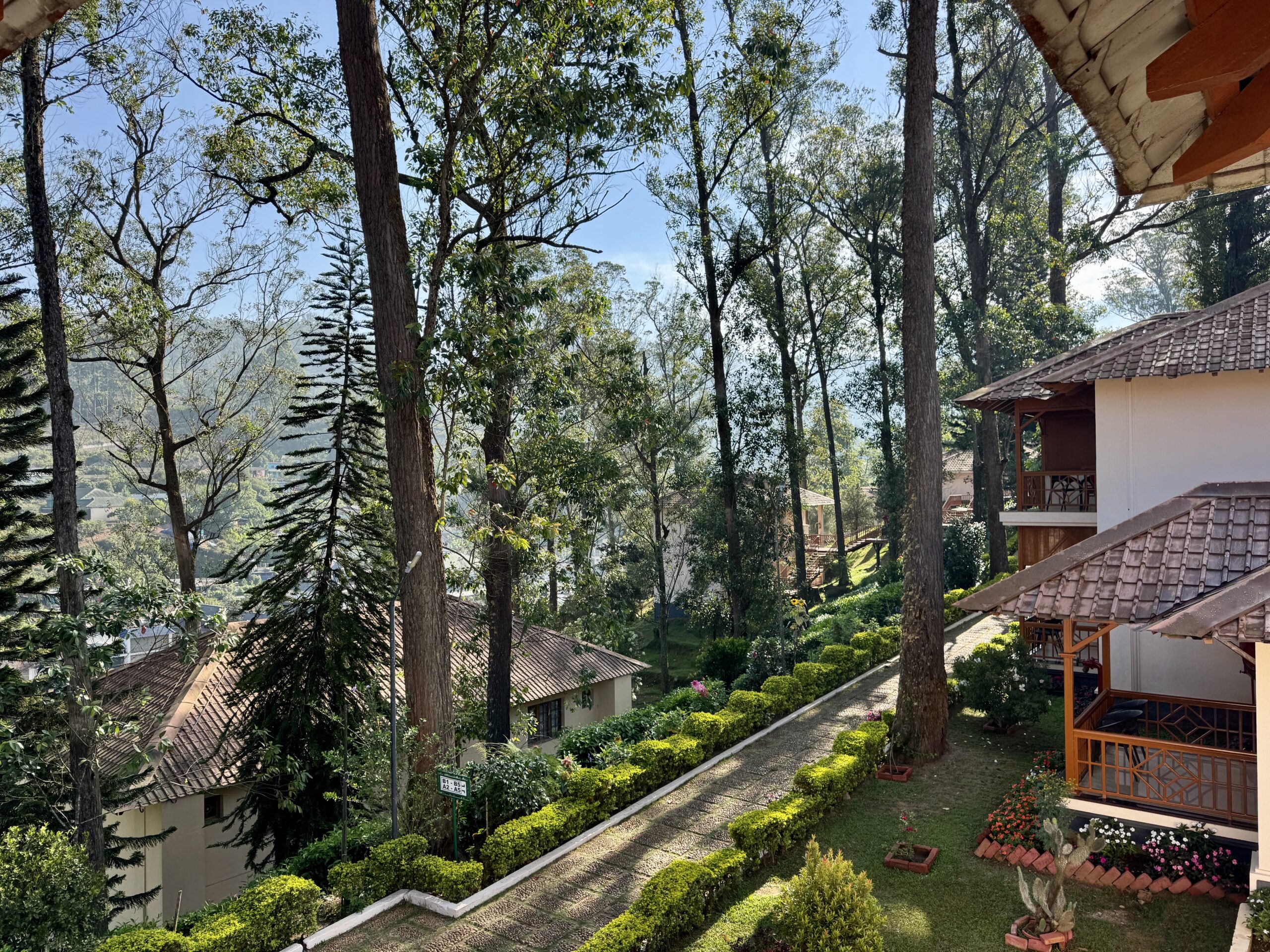 Residential garden with trimmed hedges, stone pathway, and multi-story buildings with tiled roofs among tall trees.