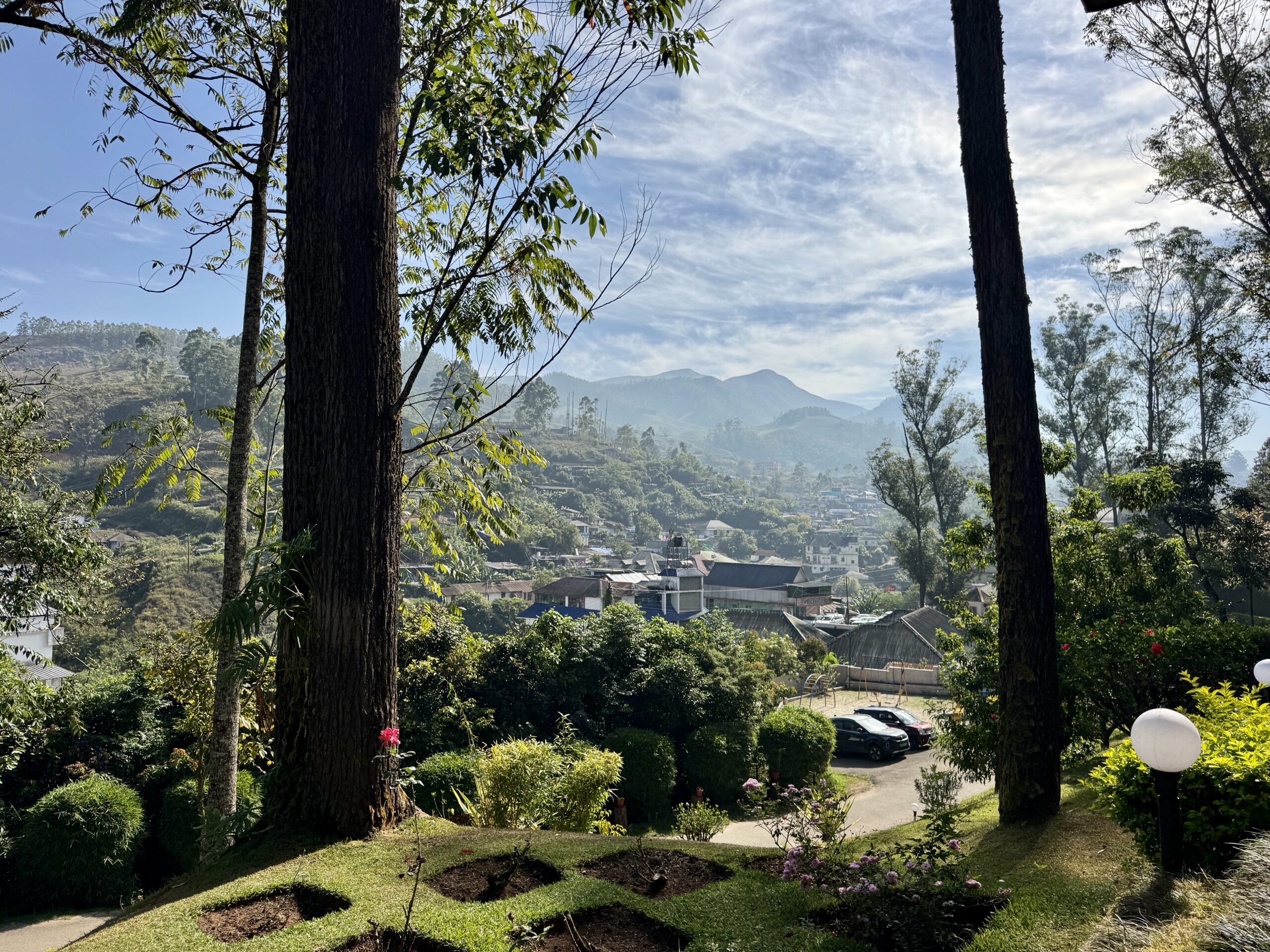 Tall trees frame a sunlit hillside garden overlooking a town and distant mountains under a blue sky