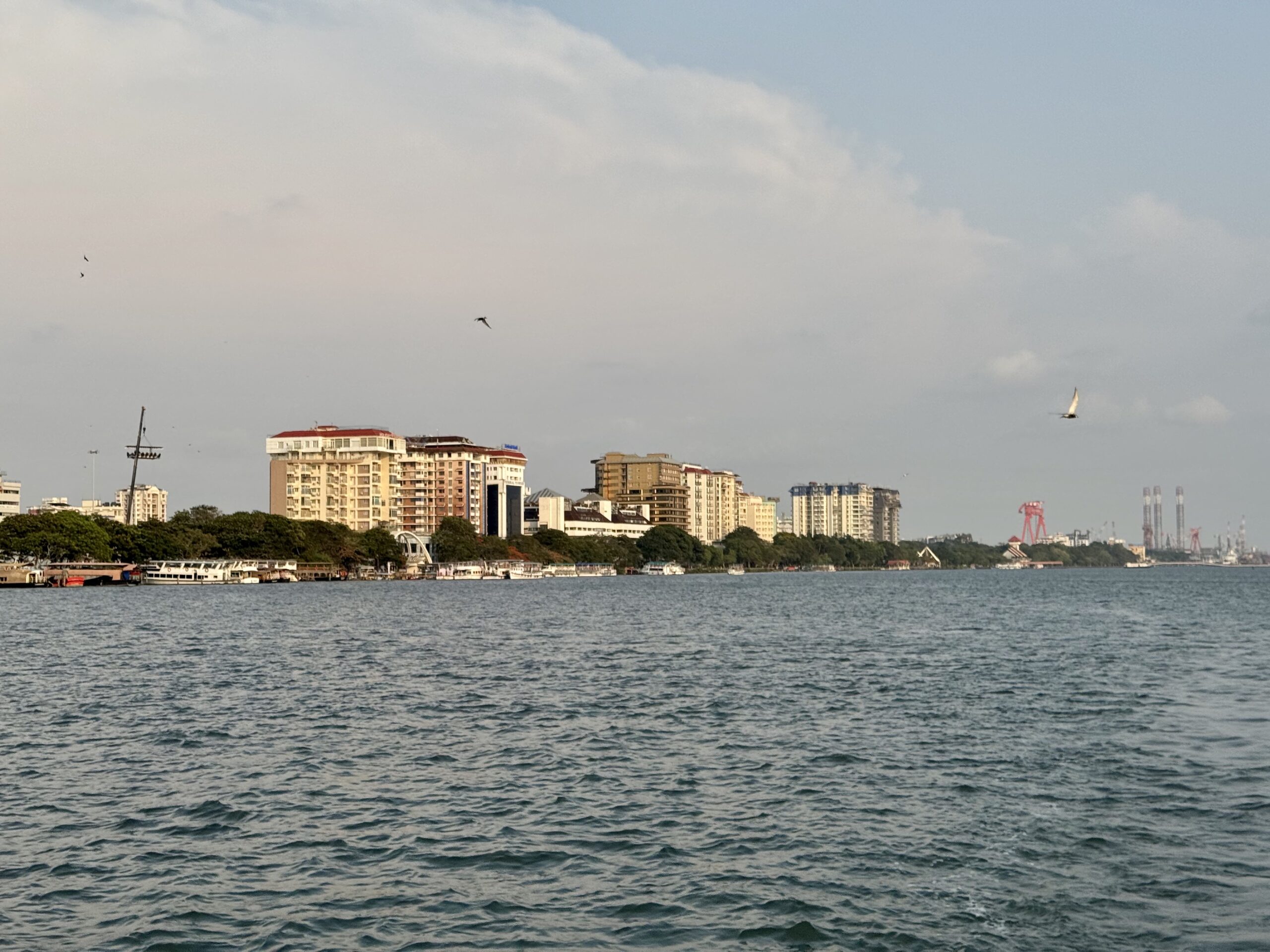 Coastal city skyline along a harbor with boats docked and a few birds in the sky above the buildings.