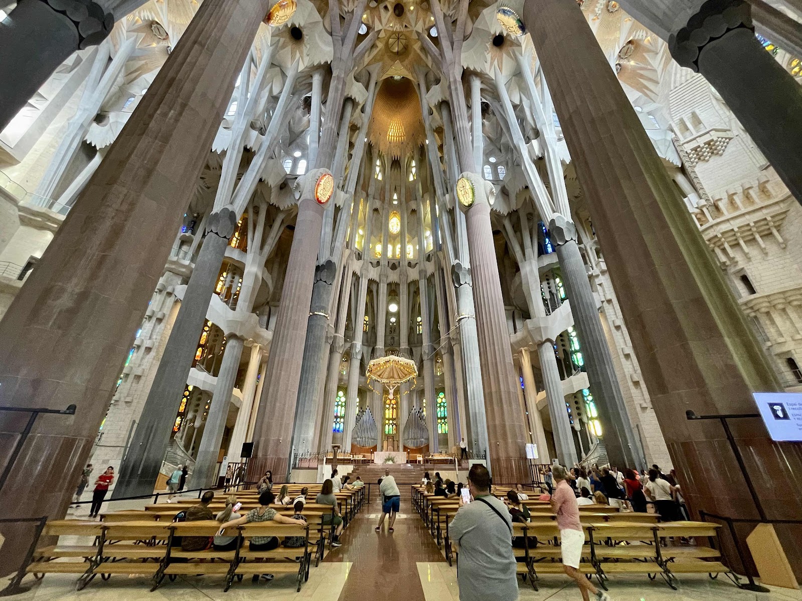 Interior of Sagrada Família basilica with tall tree-like columns and an ornate altar at the far end