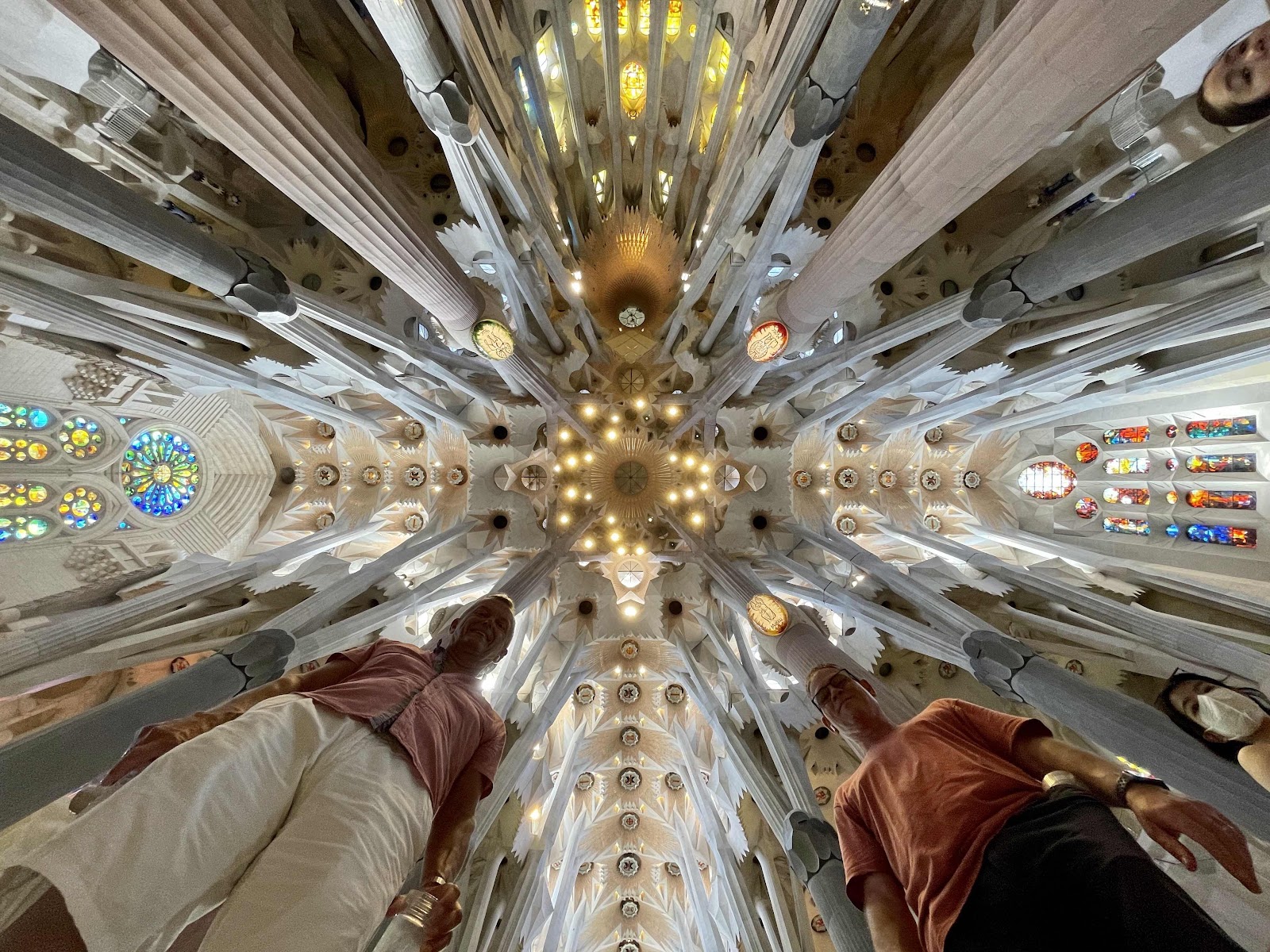 Inside the Sagrada Família, a low-angle view shows tall tree-like stone columns converging toward a richly lit vaulted ceiling with circular stained-glass windows and warm lights, with visitors at the bottom.