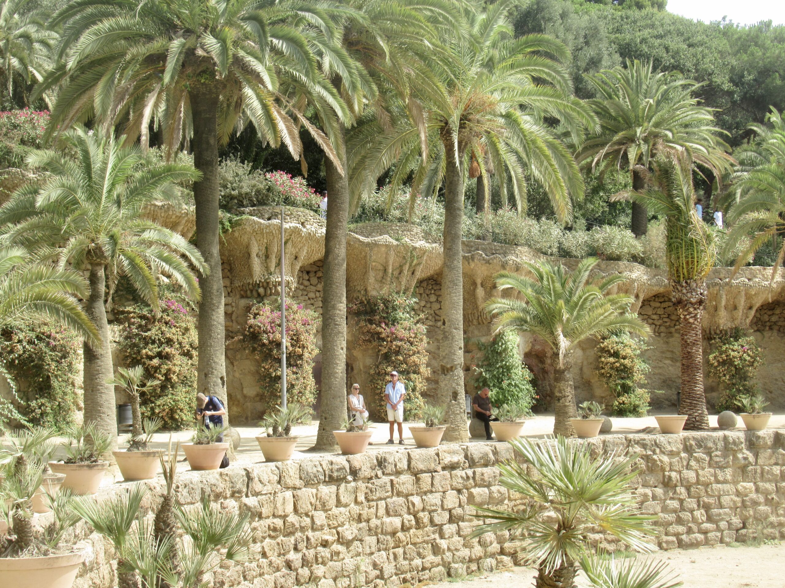 Stone terraced garden lined with tall palm trees, potted plants along the wall, and several visitors strolling the path in sunlight.