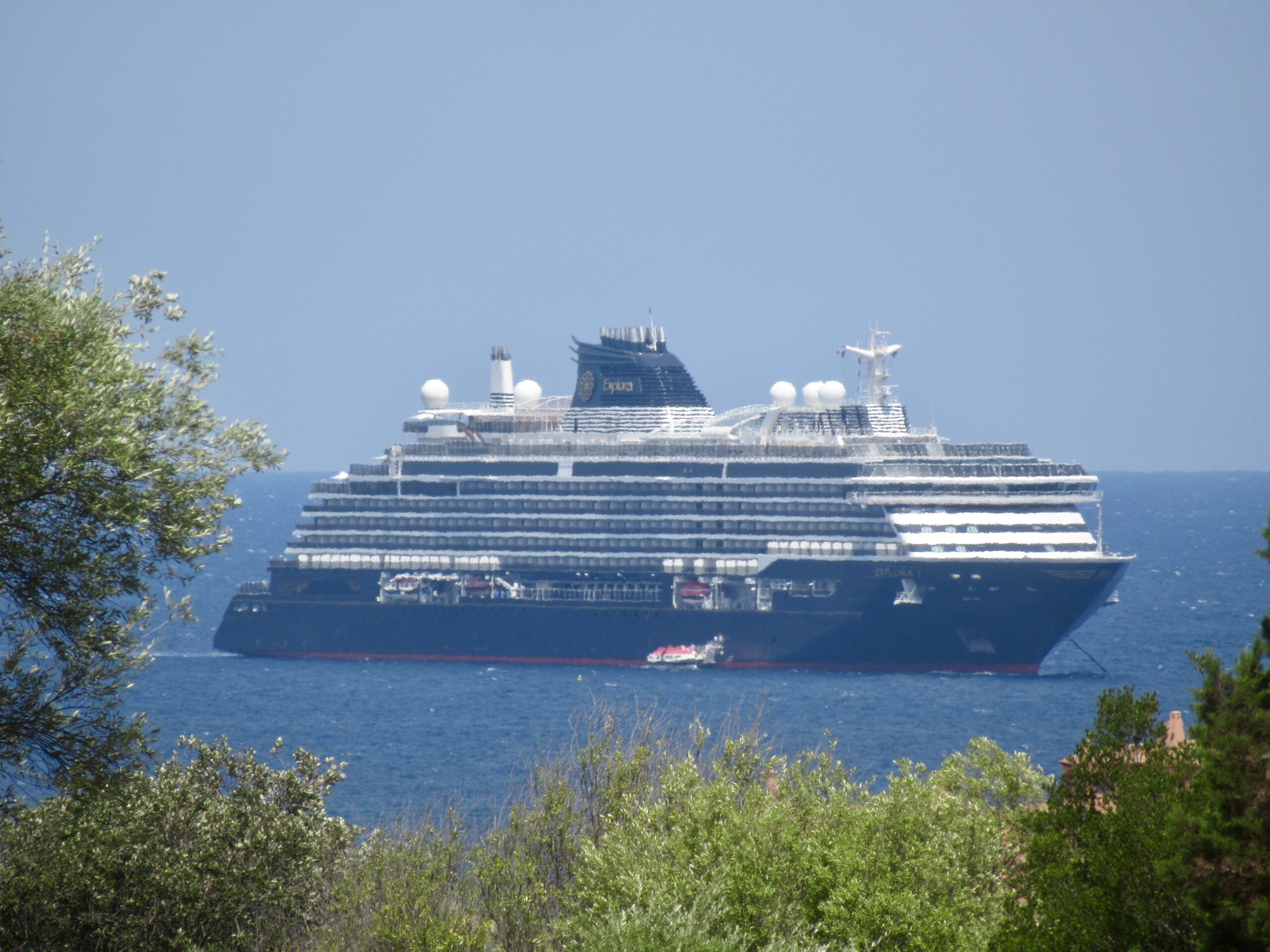 Large cruise ship on a calm blue sea, seen through foreground trees.