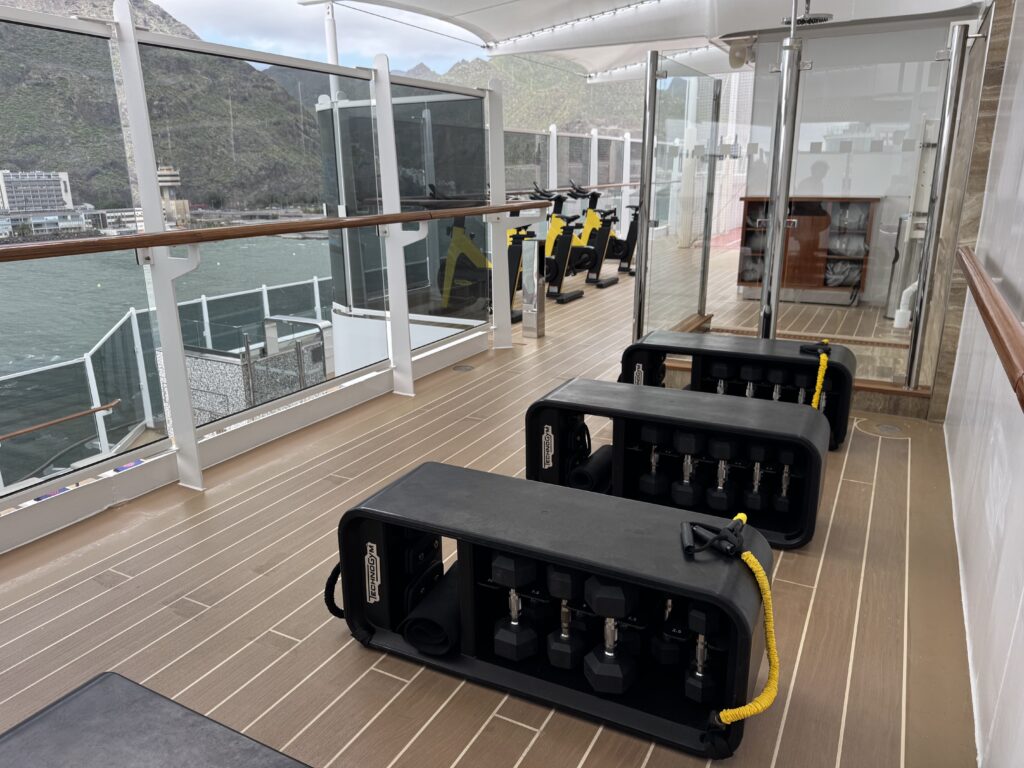 Gym area on a cruise ship with treadmills and dumbbells along glass walls overlooking the ocean and mountains.