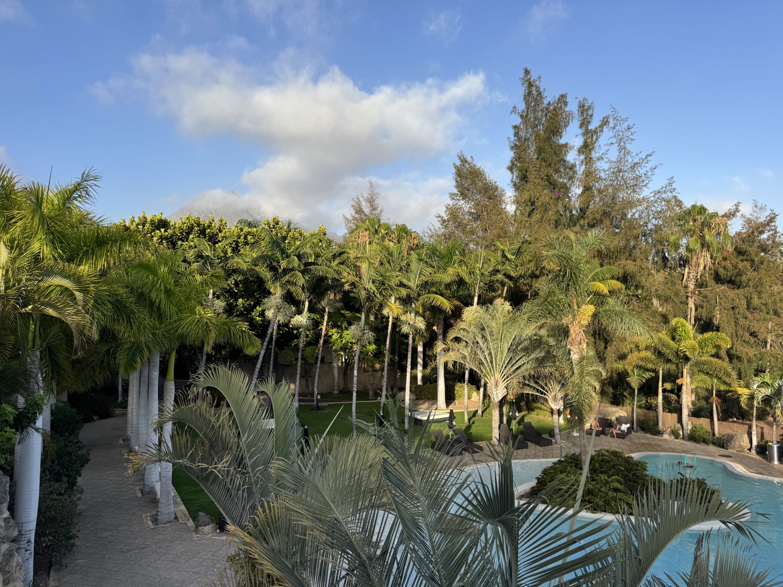 Resort pool area with palm trees, lounge chairs, and a curved pool under a clear blue sky.