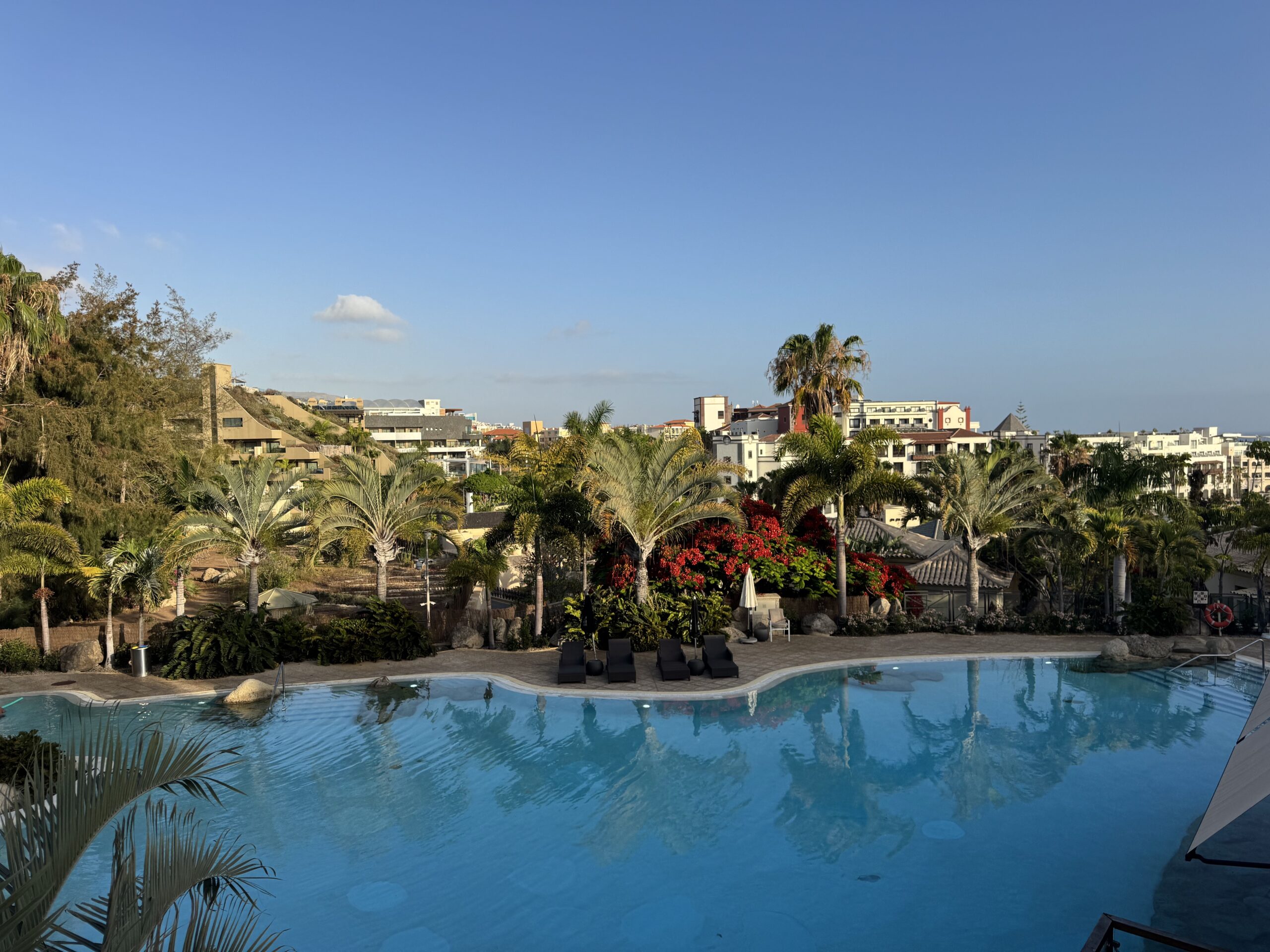 Resort pool with blue water, palm trees, and lounge chairs against a backdrop of buildings under a clear sky.