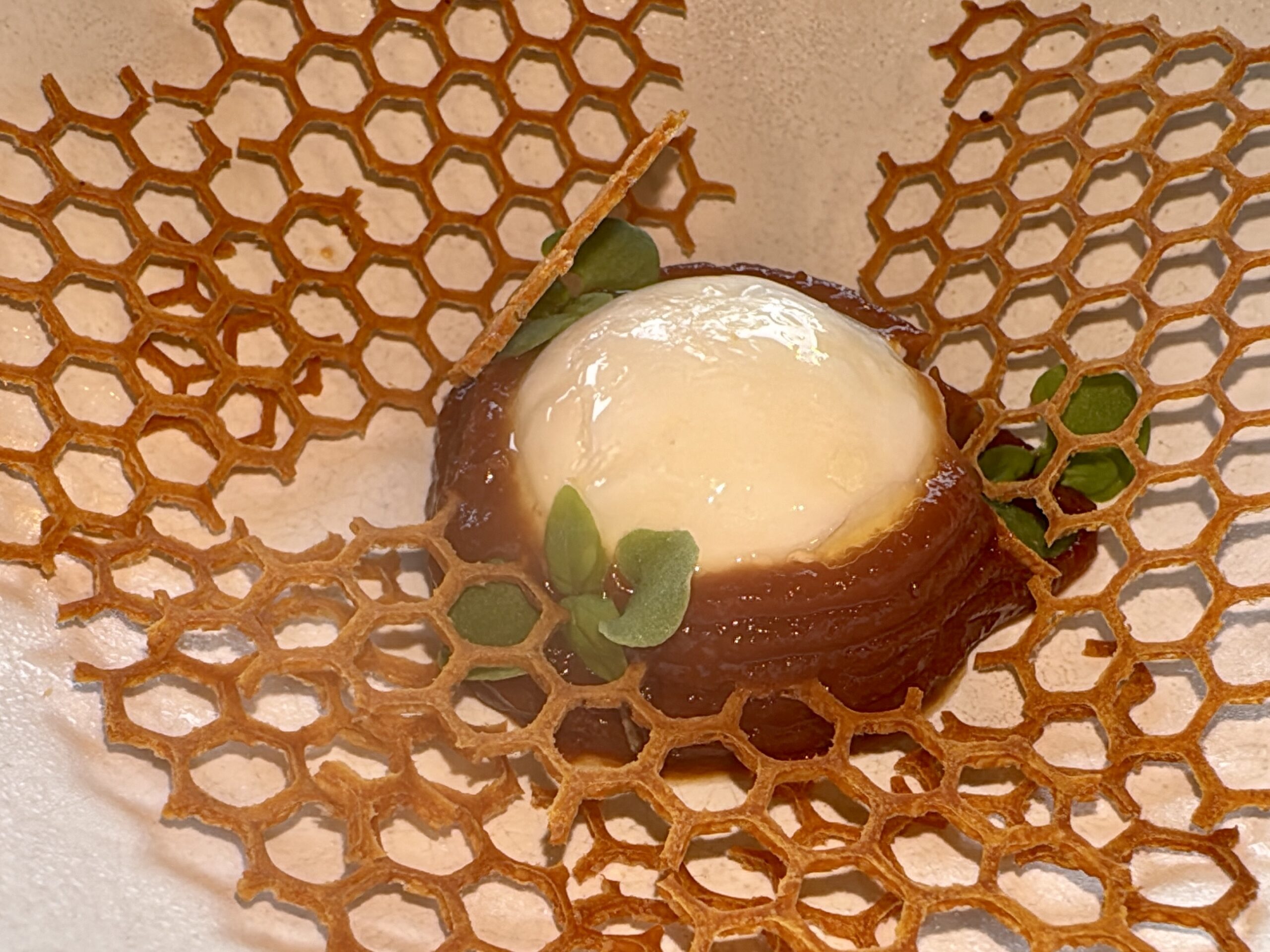 Close-up of a dessert with a glossy white scoop (ice cream) surrounded by a chocolate base and a honeycomb-patterned lattice crust, with mint leaves.