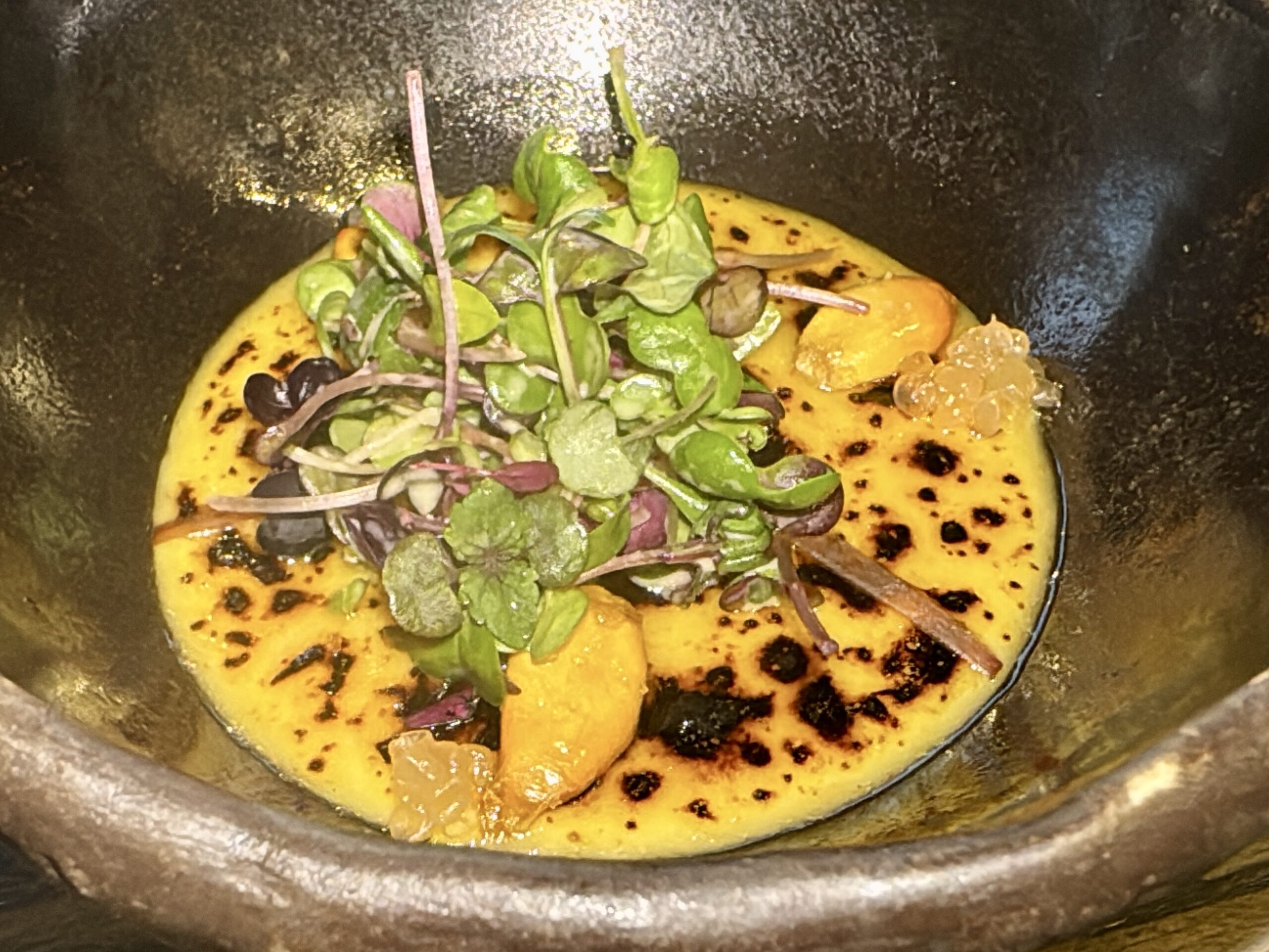 Plate with orange sauce and a bed of fresh greens/microgreens, in a dark bowl.