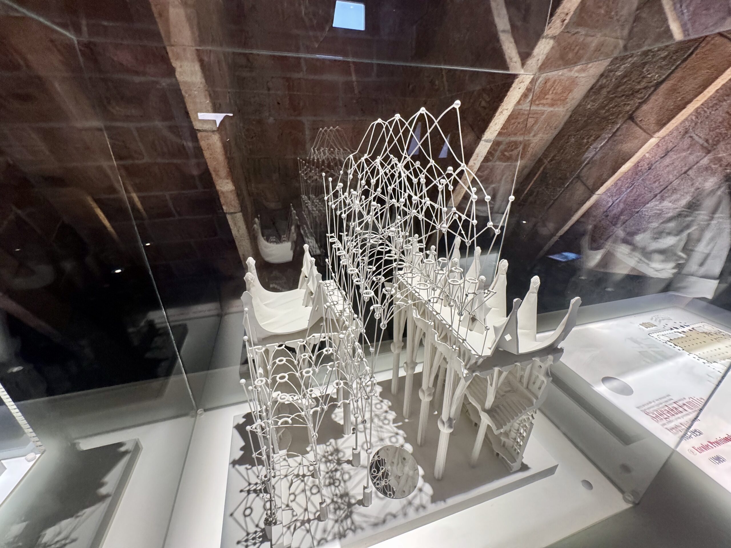 Intricate white wire sculpture resembling a tree with loops, displayed inside a glass case in a museum.