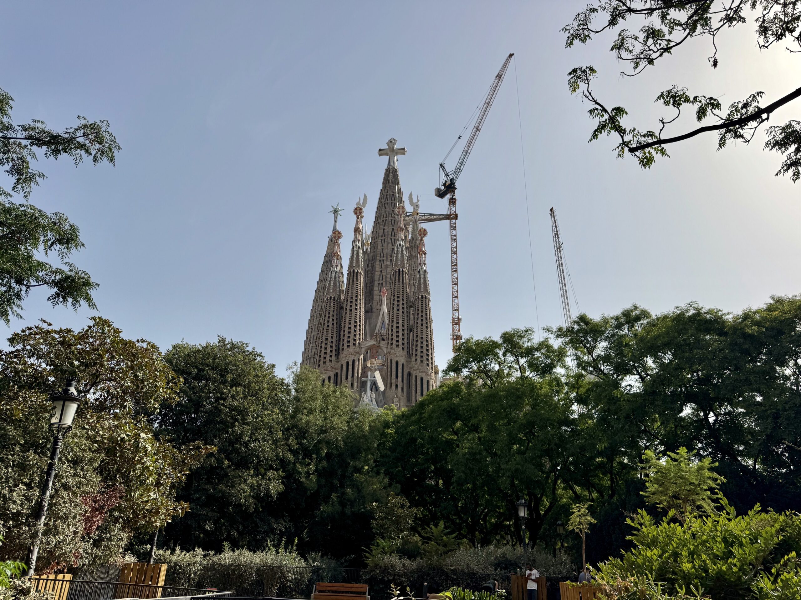 Detail of the Sagrada Família towers under construction with cranes above a tree-lined park.