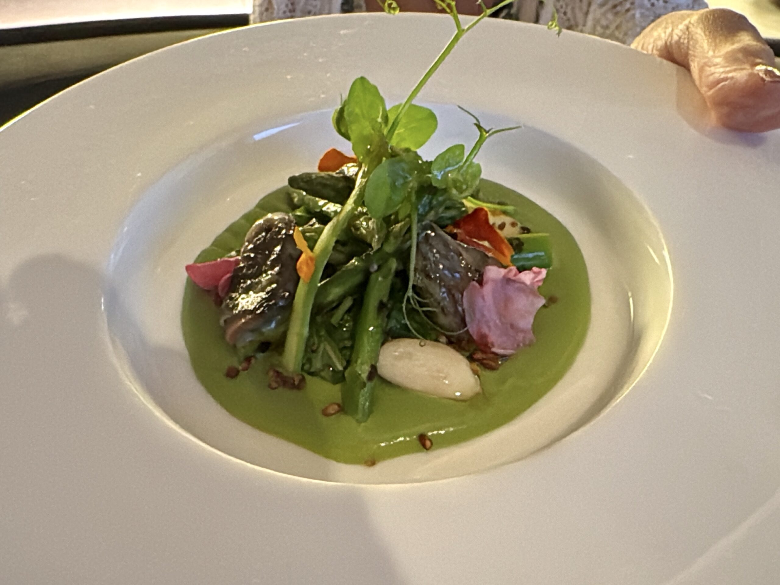 A plate with a green sauce base topped with mixed greens, carrot ribbons, colorful petals, and white beans; a hand holds the rim of the plate.
