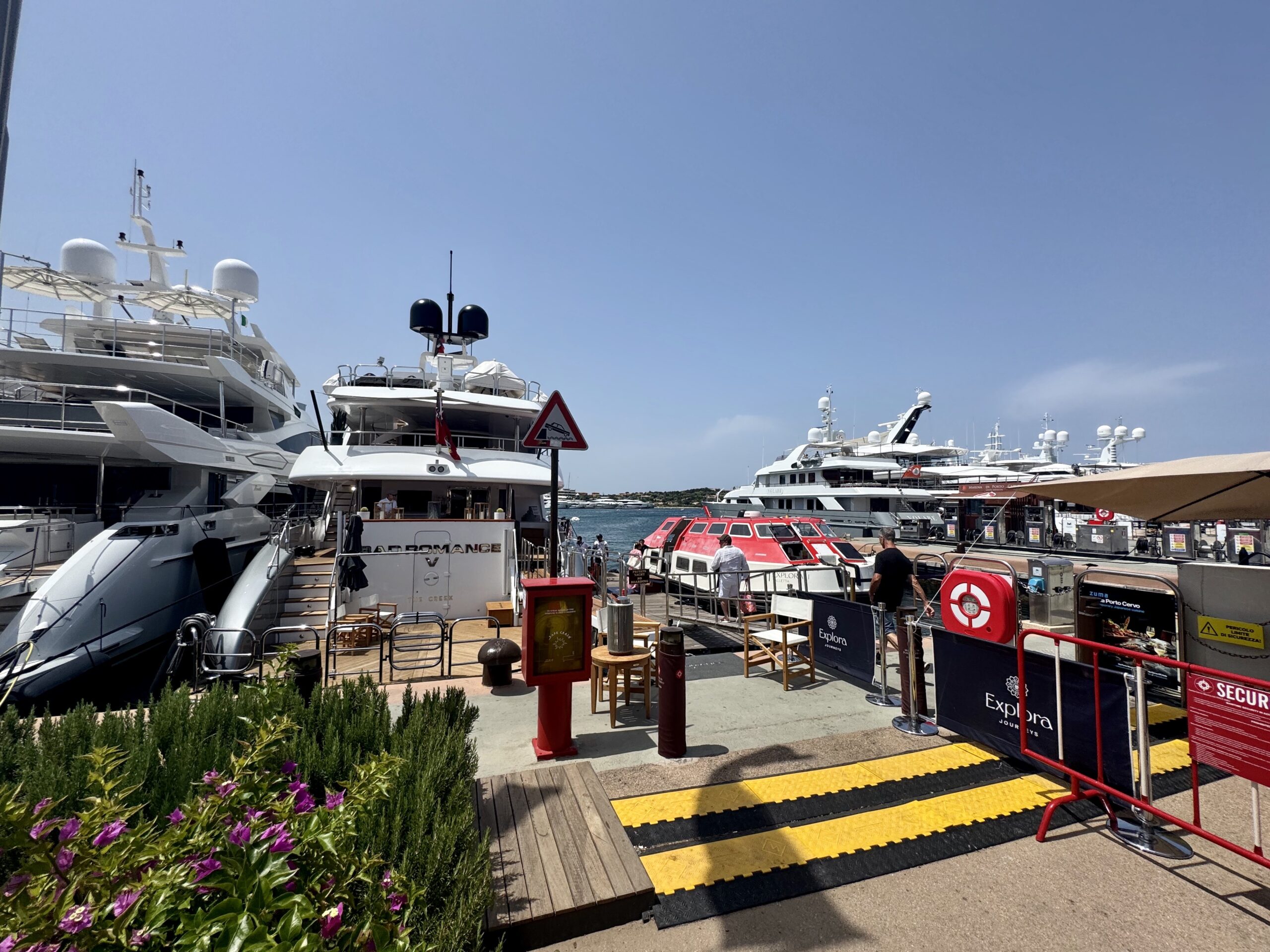 Marina filled with large white yachts docked along a sunny waterfront, purple flowers in the foreground and a pedestrian pathway.