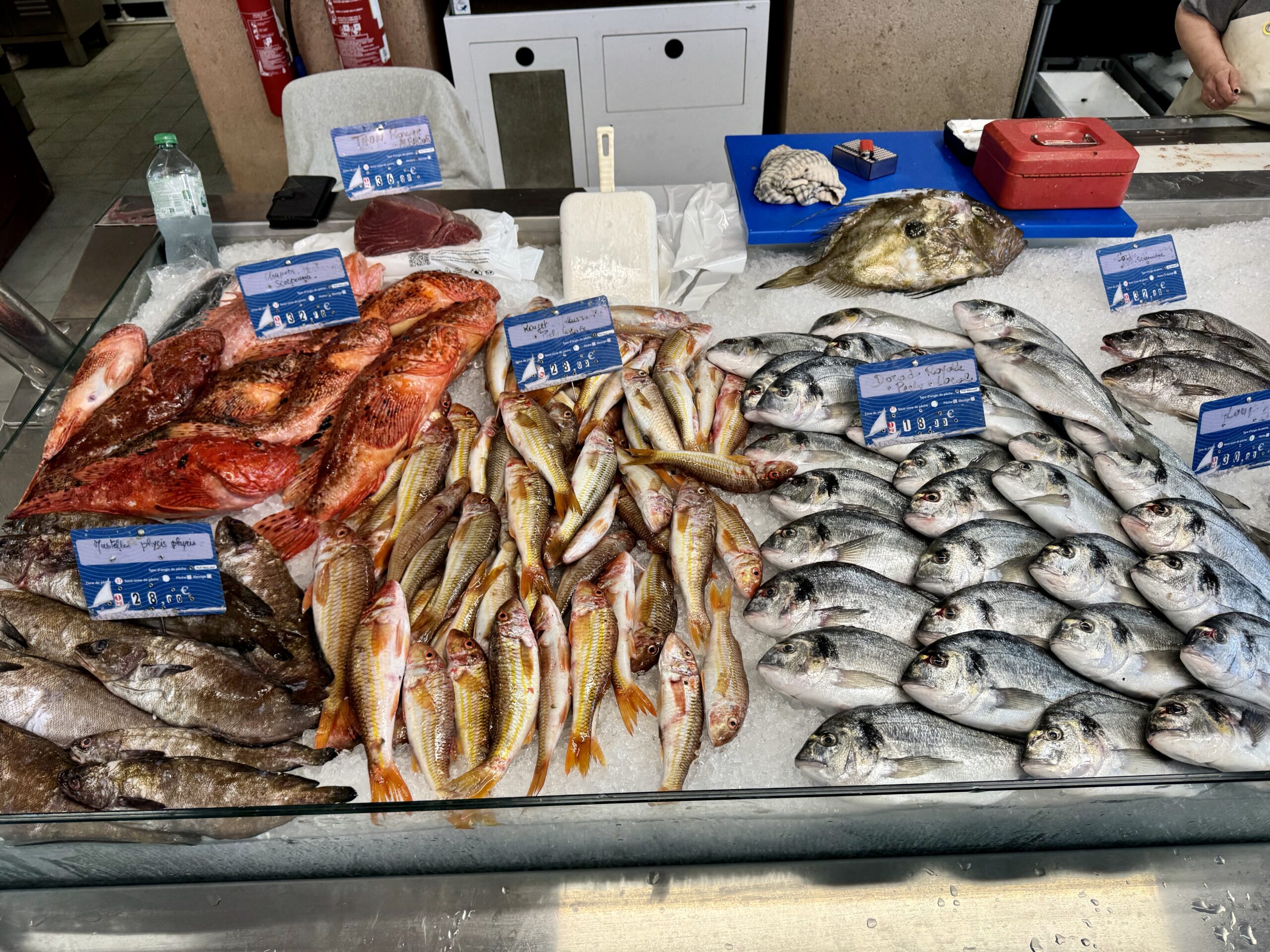 Mediterranean 2026 – day 09 – 2026-07-26